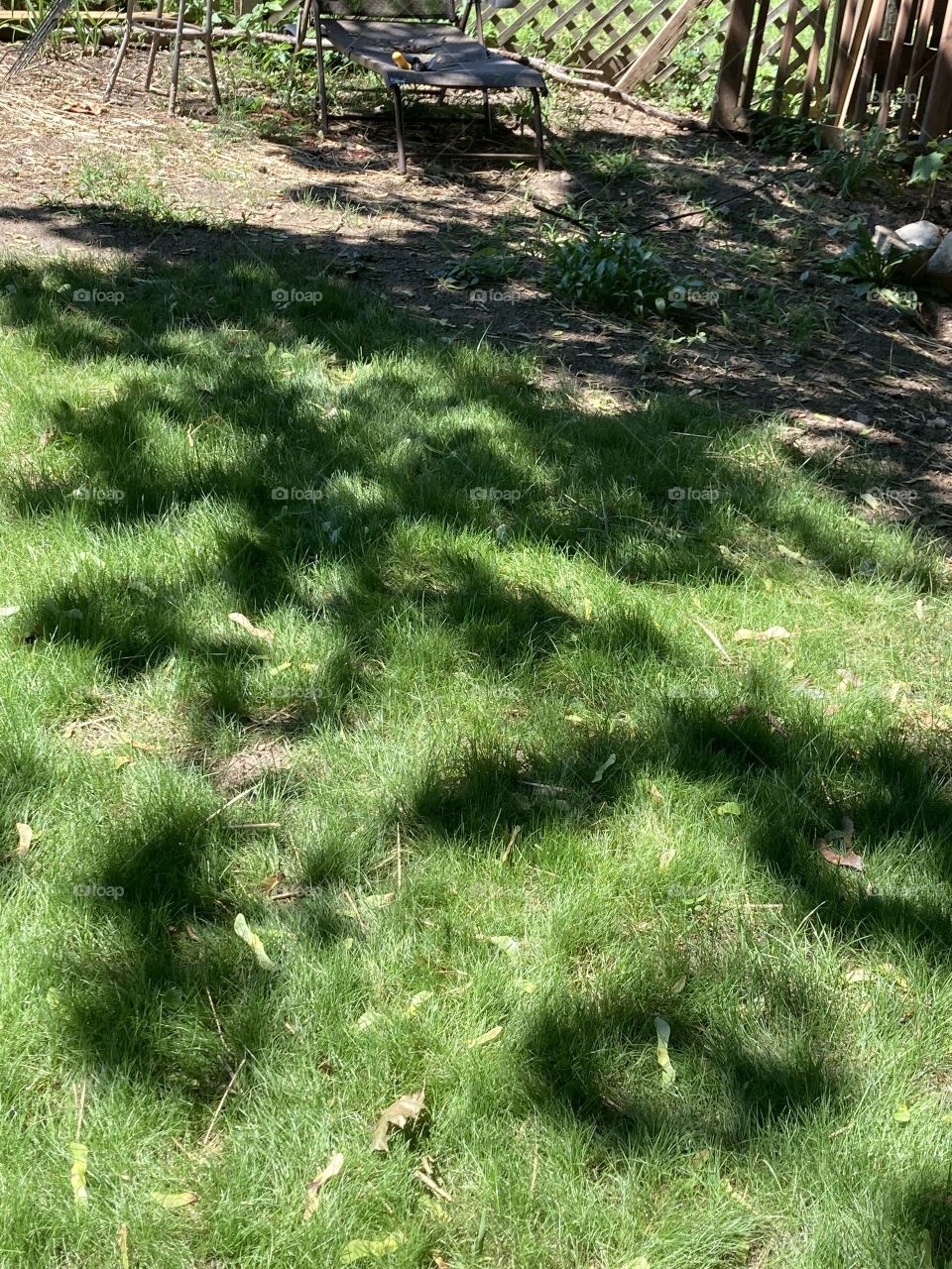 Shadow design in backyard 