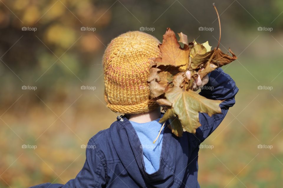 Little boy holding a giant pile of leaves. Fall, yellow, season, childhood, little boy.