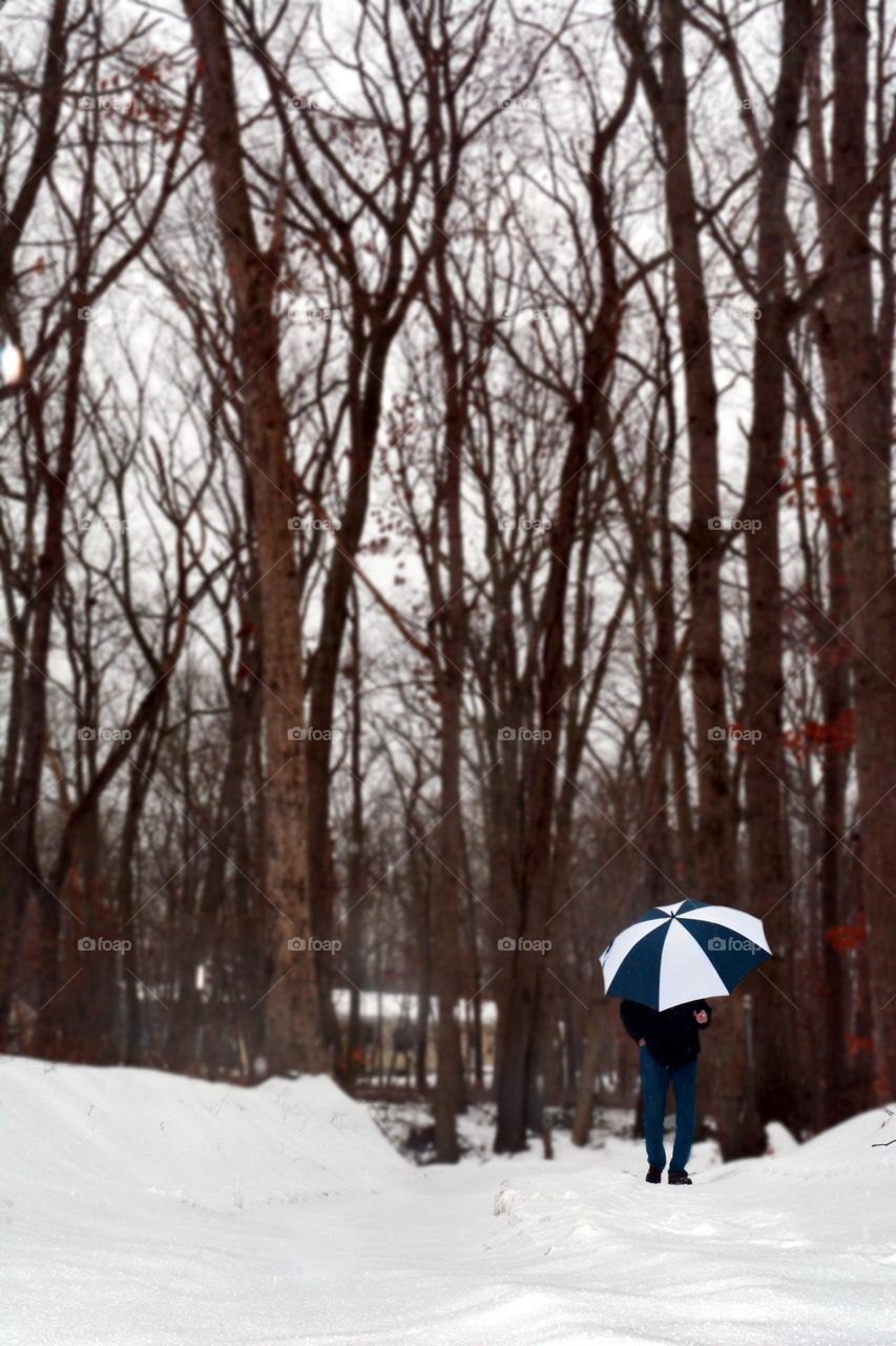 A person walking in the woods with an umbrella. There is snow on the ground. The person's back is facing towards the camera.