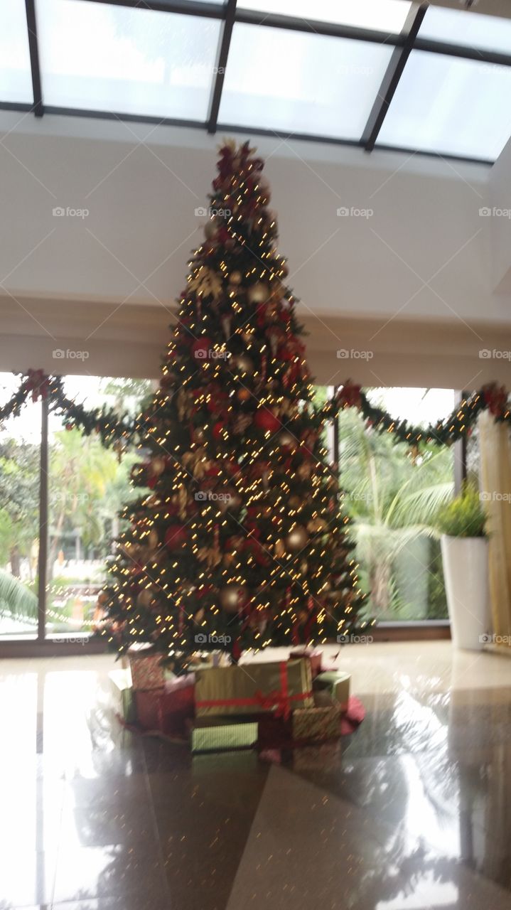 Christmas in Hawaii. in the lobby at the Maui Marriott