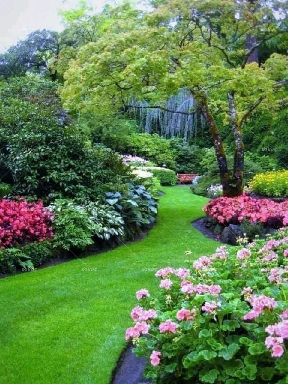 Nature quality photos