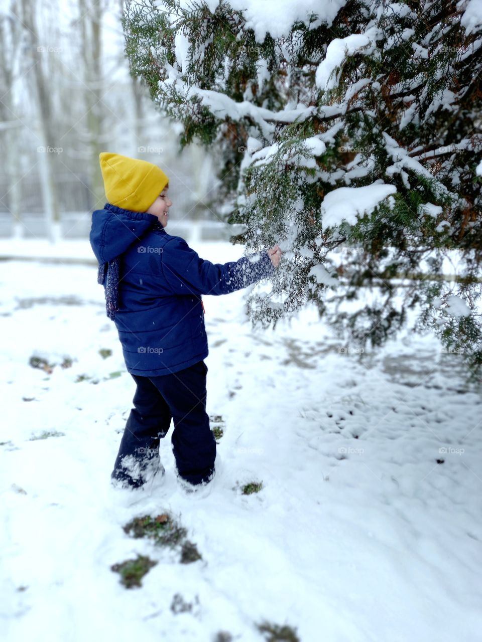 boy with a snow