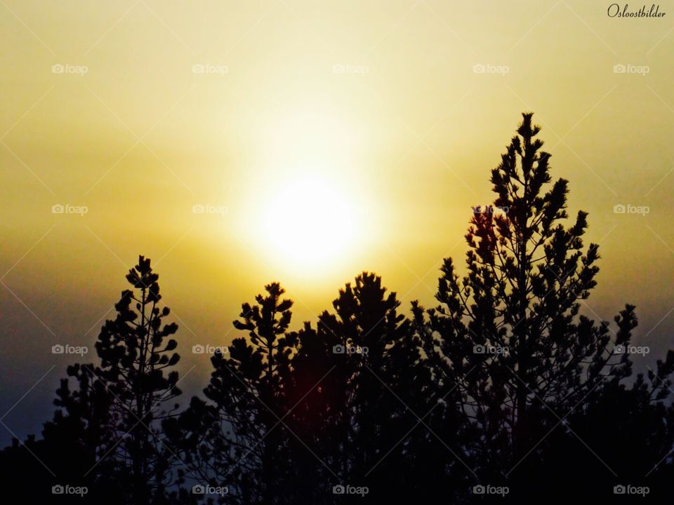 Sveggen. Golden hour in Sveggen, northwest in Norway.