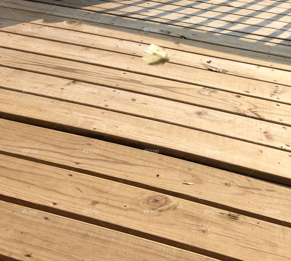 It a bugs life . Flying 