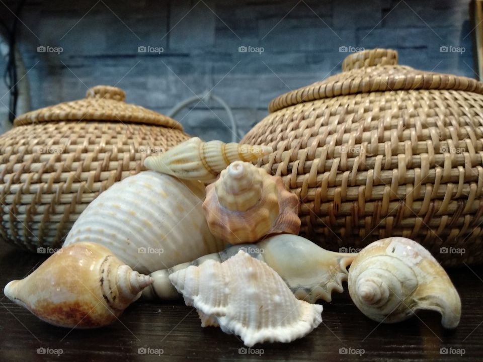 Seashells Decorations