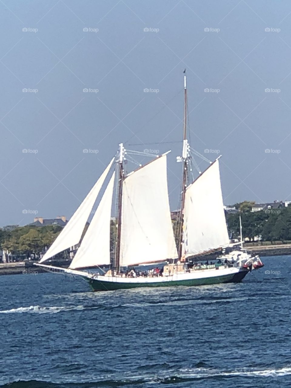 Sail Boat Boston Harbor