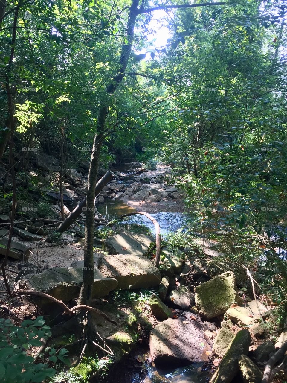 Hidden Creek 