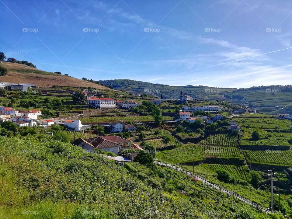 Douro vineyards