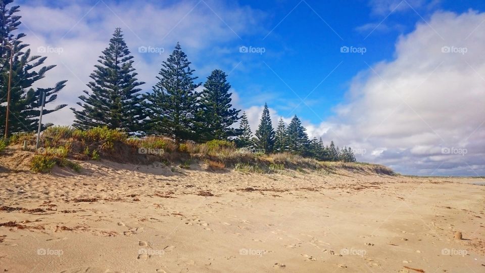Beach Pines Australia
