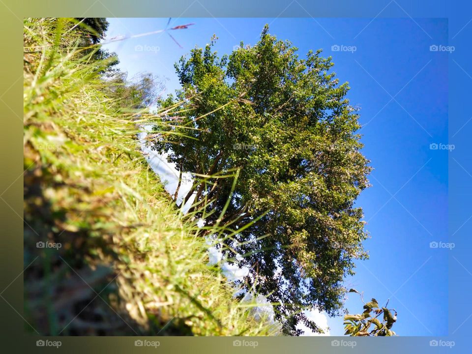 want to rest in treee beneath?❤️