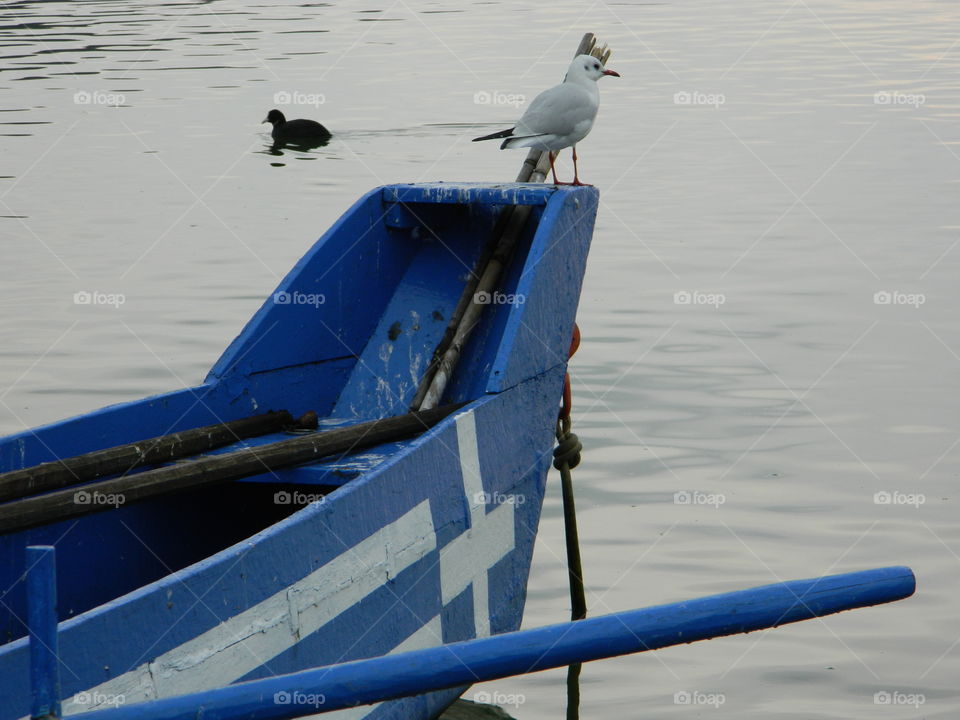 Greek lake