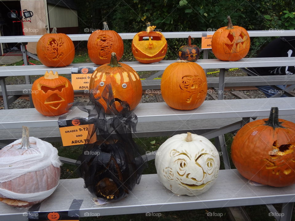 A whole bunch of decorative pumpkins