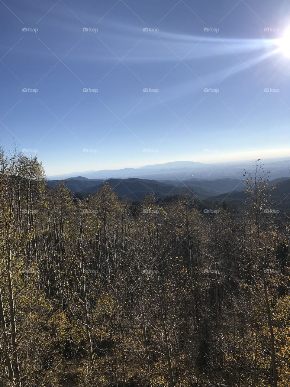 Beautiful view from a glorious mountain near Santa Fe New Mexico.  Fall trees with the fantastic array of mountains within the background. This is a picture to show your adventurous side of life.