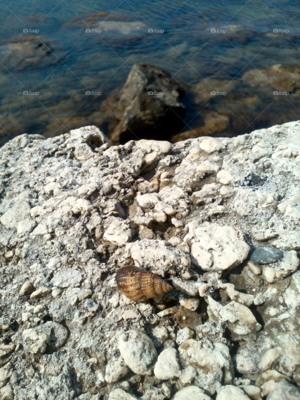 Rock, Nature, Stone, Seashore, No Person