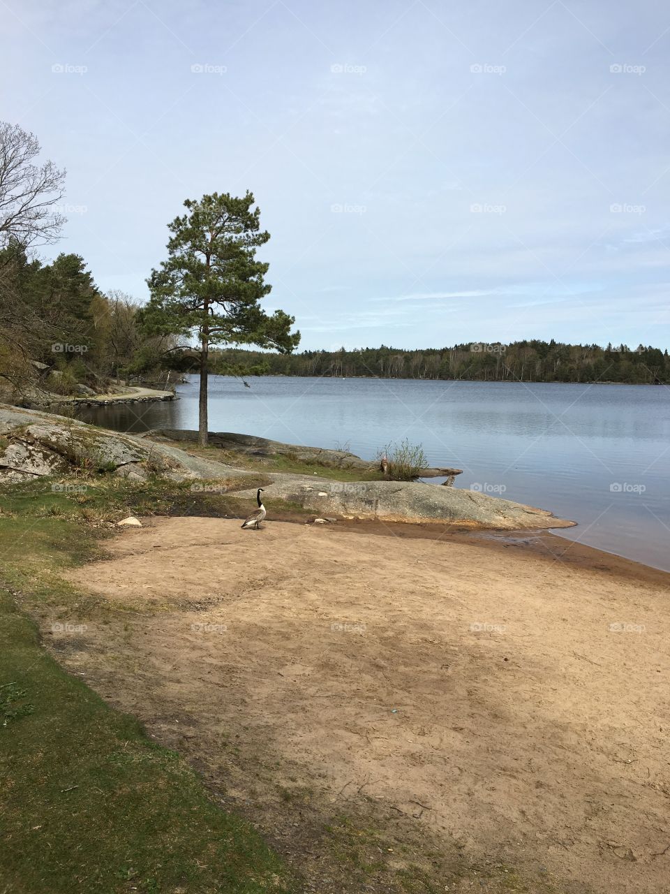 Landscape, Water, Tree, No Person, Lake