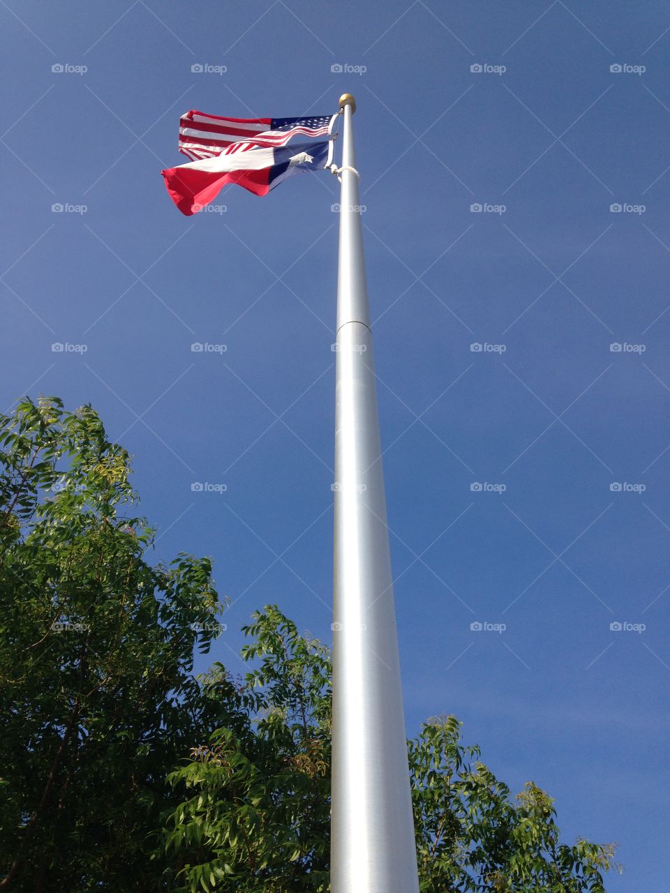 Flags flying high. USA and Texas flag flying high