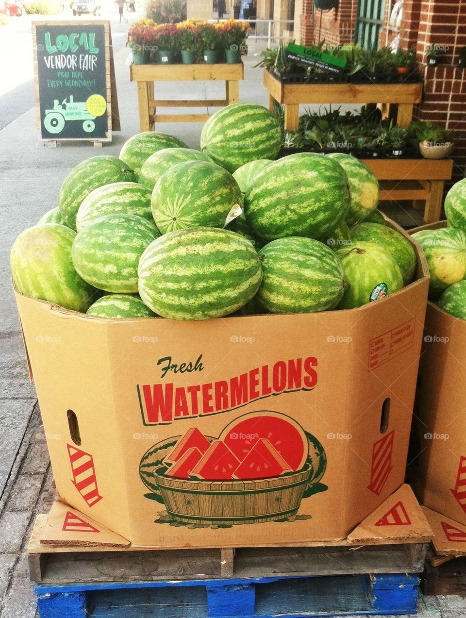 Fresh Watermelon