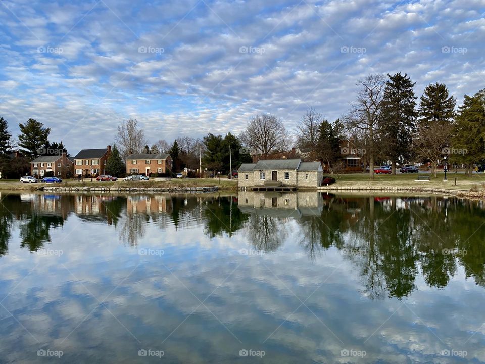 Reflections on a lake in a local park