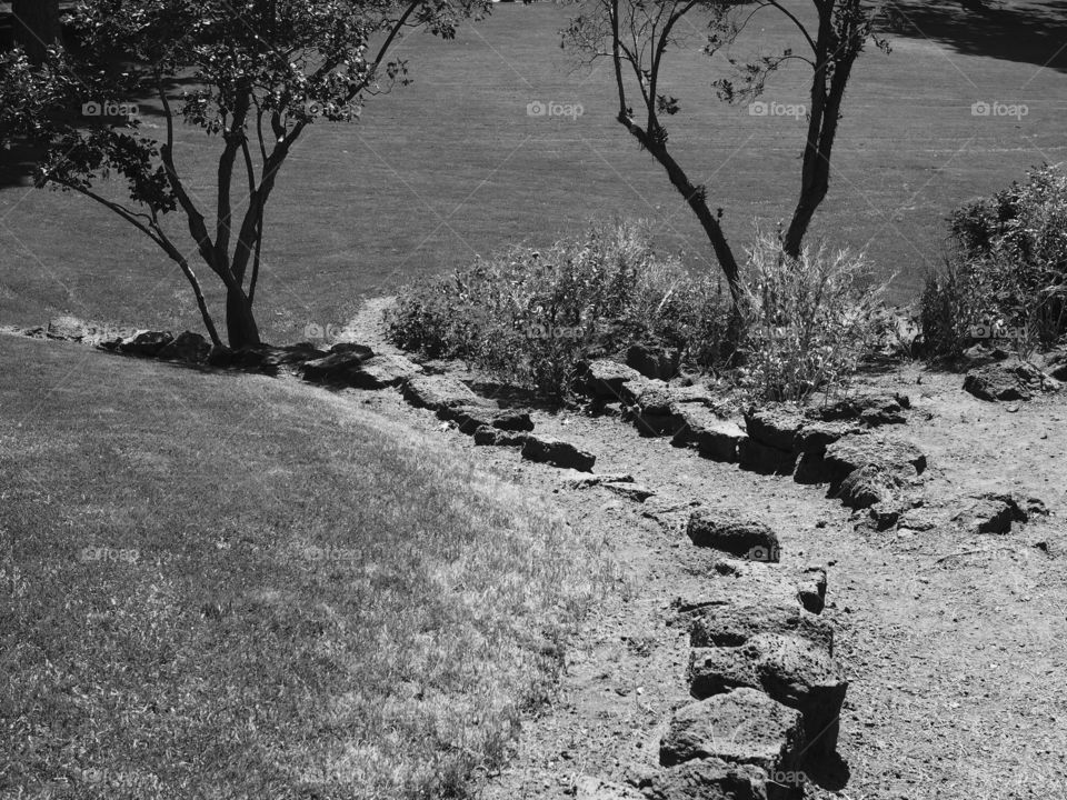 Beautiful landscaping at Pioneer Park in Bend in Central Oregon on a sunny summer morning. 