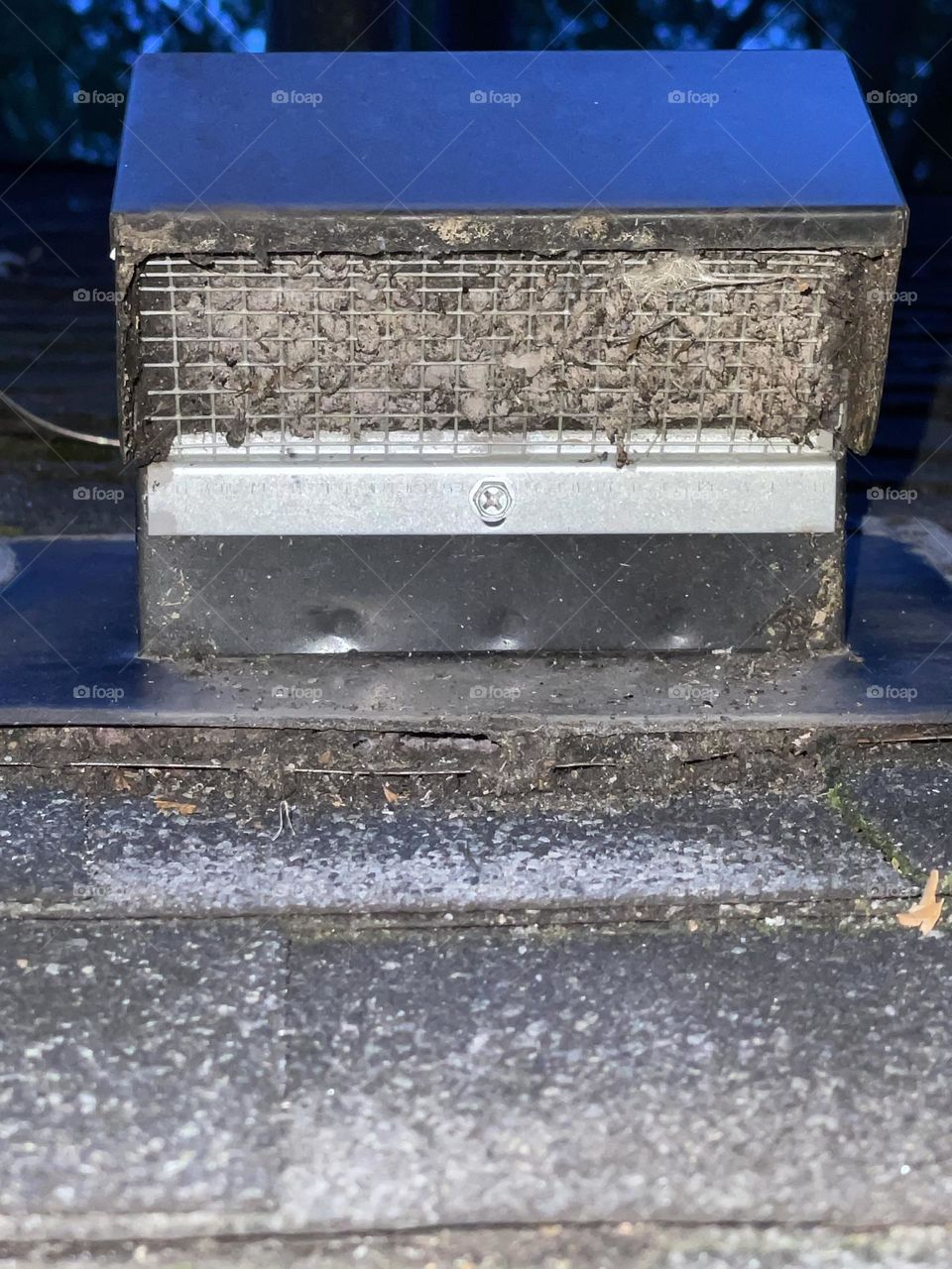 Dirty dryer vent on the roof, dryer vent needs to be cleaned, cleaning vents on the roof