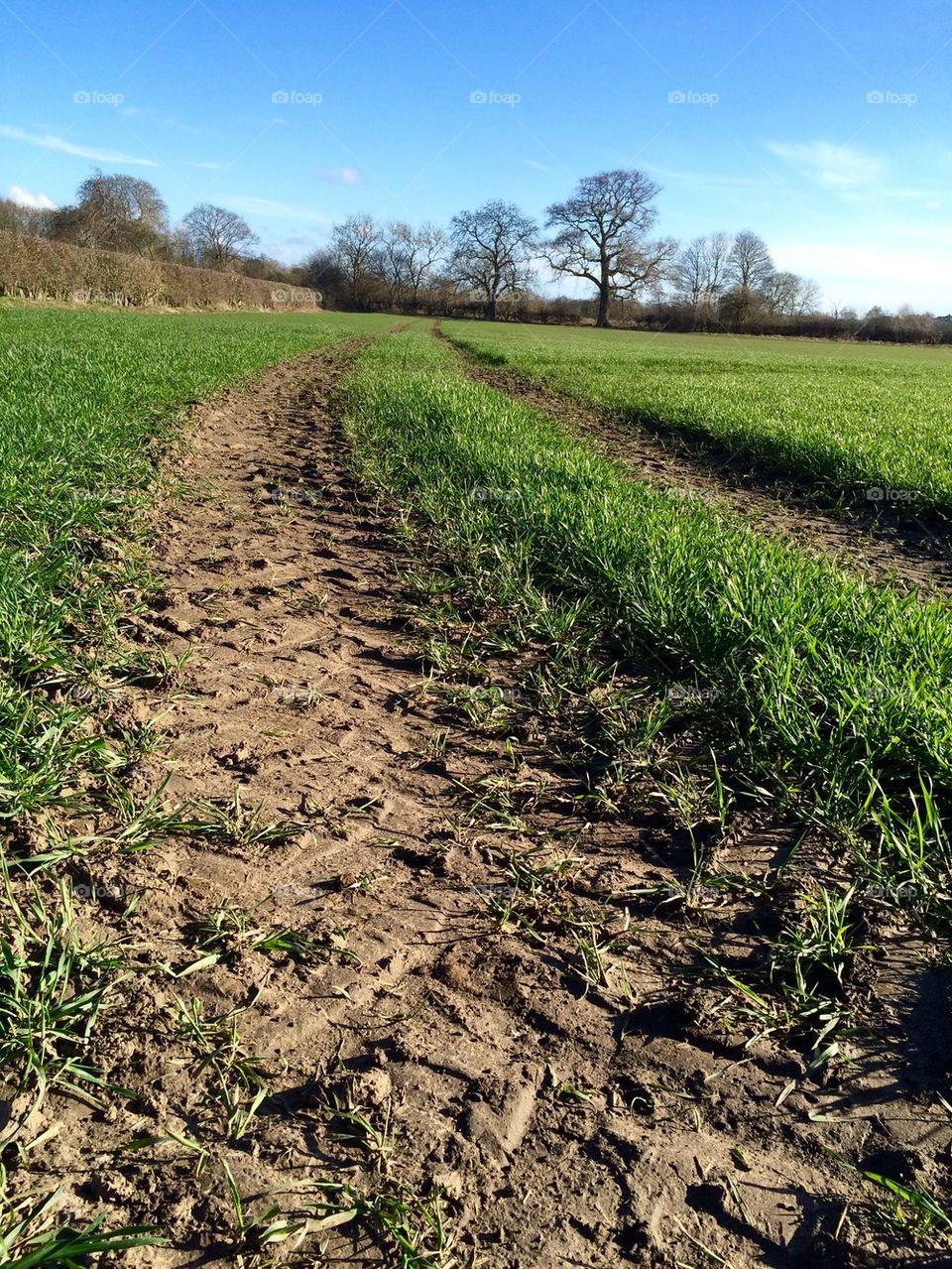 Tyre Tracks