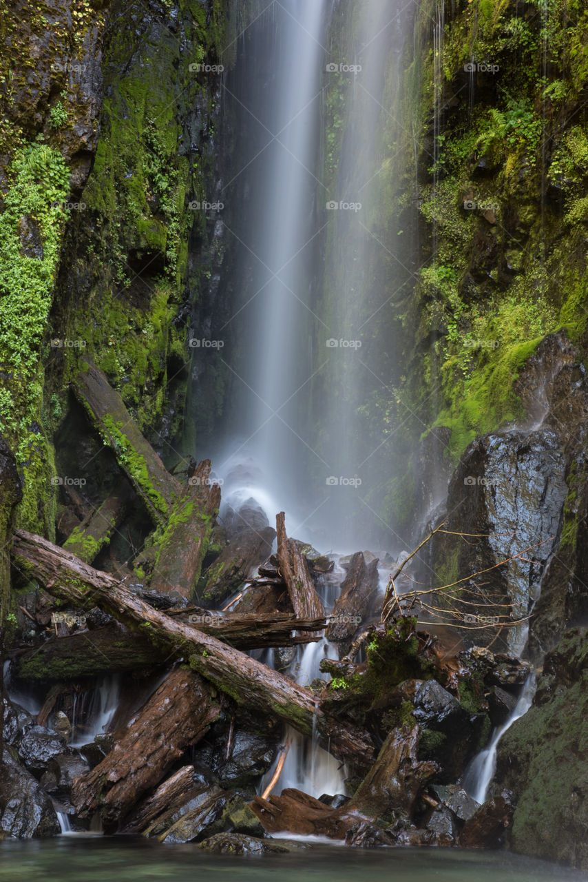 Waterfall and Fallen Trees at Henline Falls