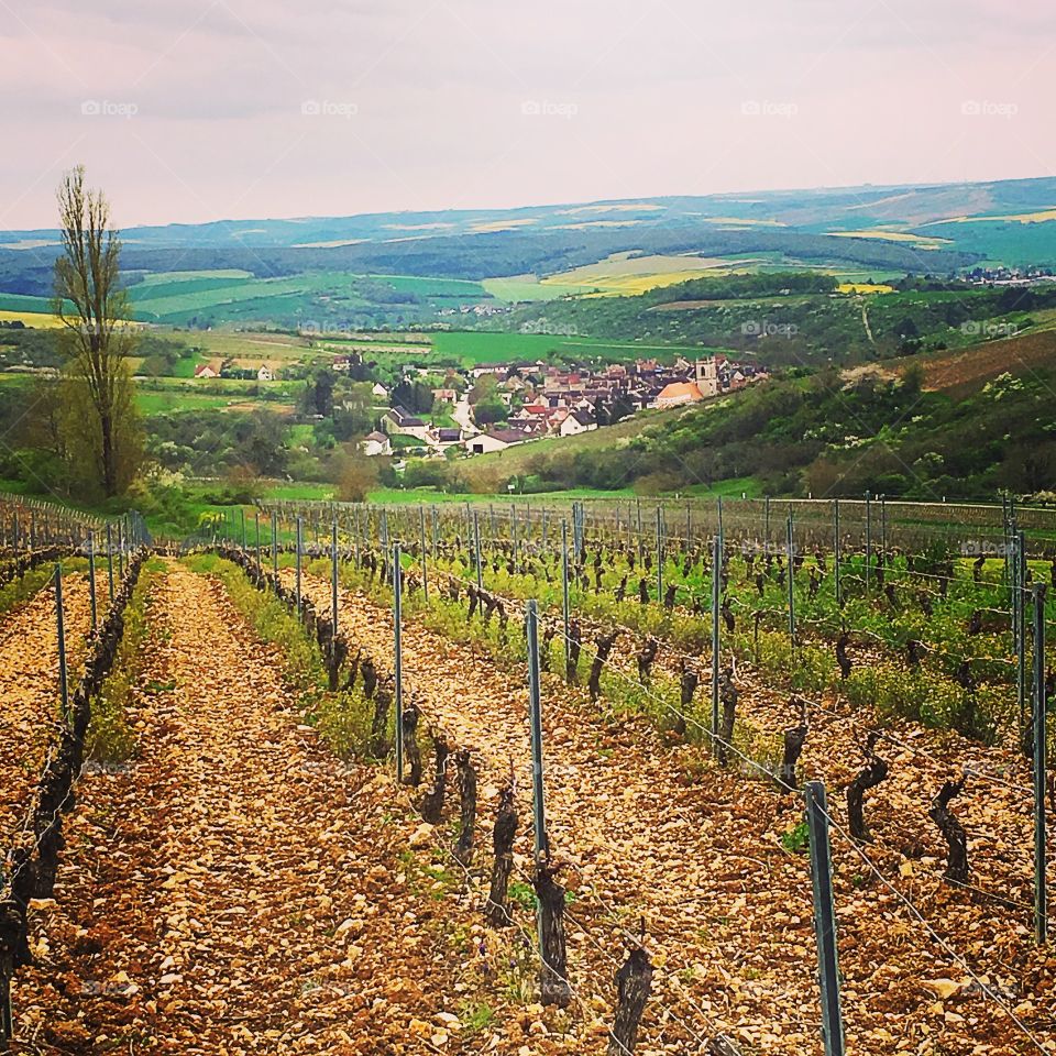 Landscape, Nature, Agriculture, Travel, Mountain