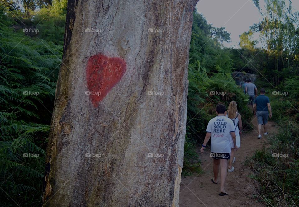 Un corazón dibujado en un árbol al lado de una familia con amor