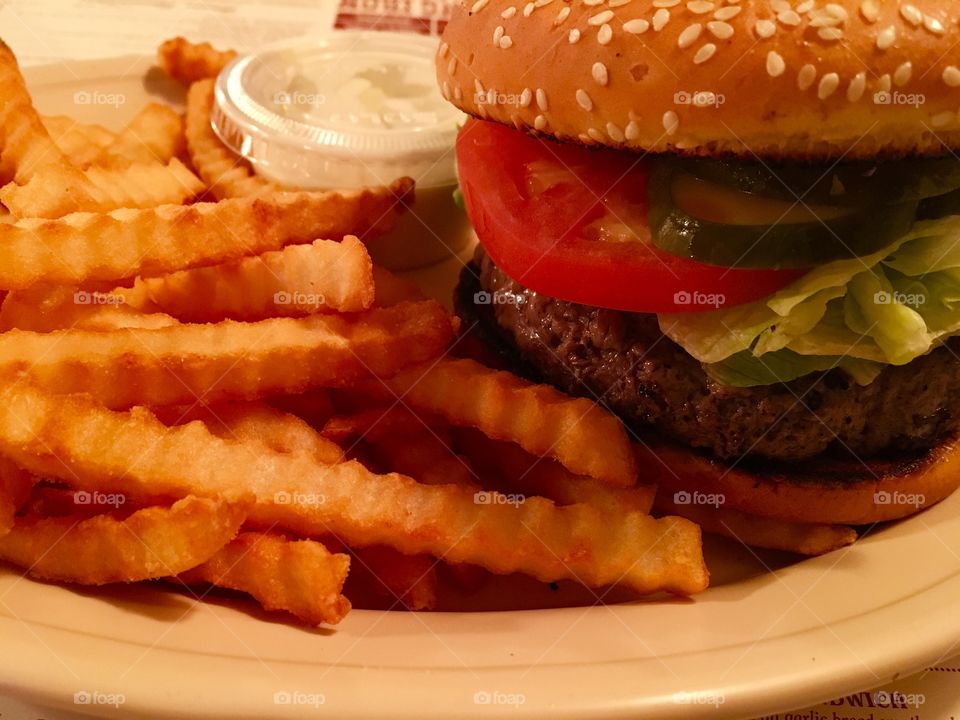 Burger and Fries