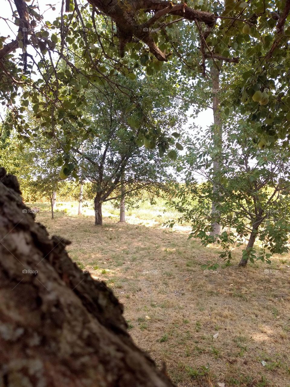 Editors' Choice - Photo of the Week!