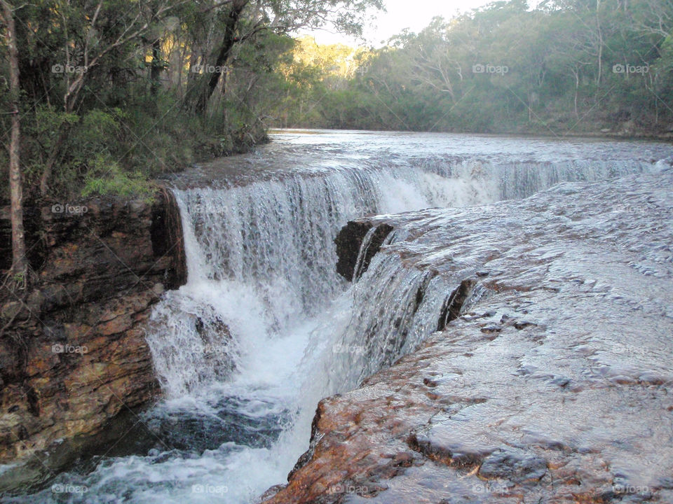 nature trees water river by Ross.stuff