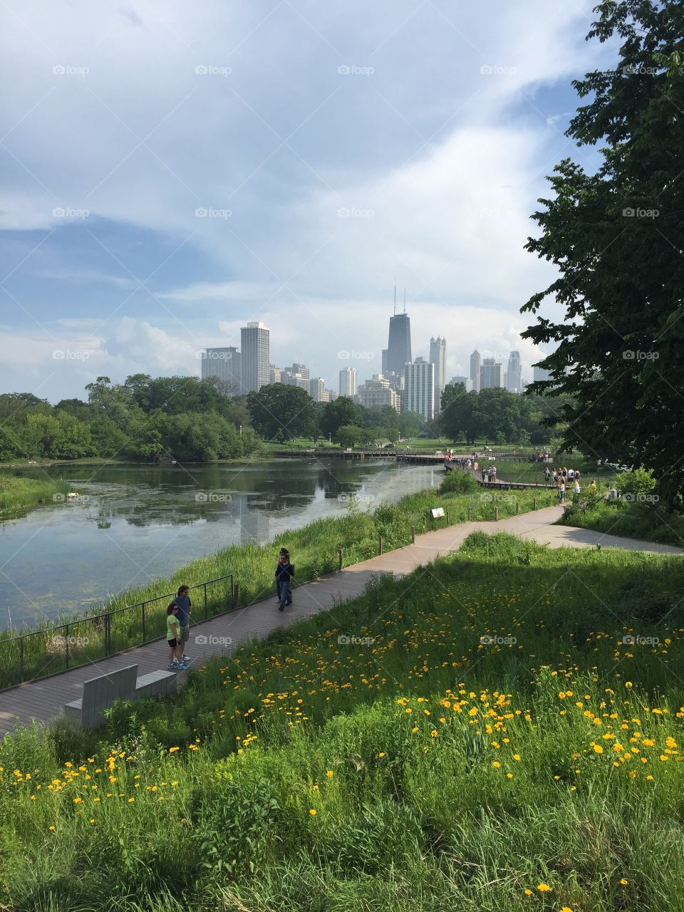 Lincoln park in Chicago