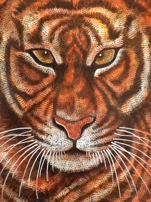 Tiger, Unique brush strokes by Bunga I.