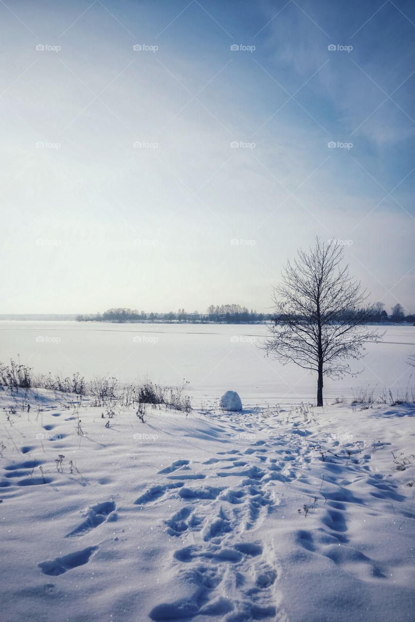 Winter landscape