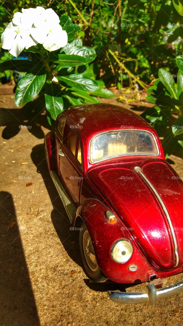 car carro Fusca vermelho