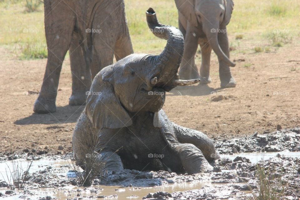Mud bath
