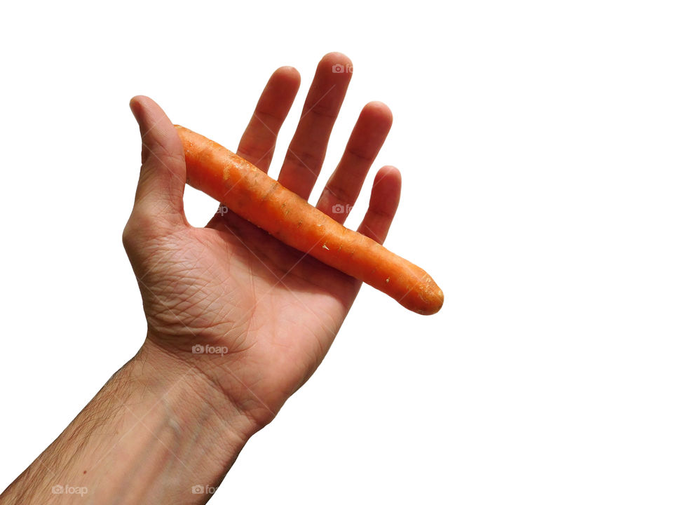 carrot in hand