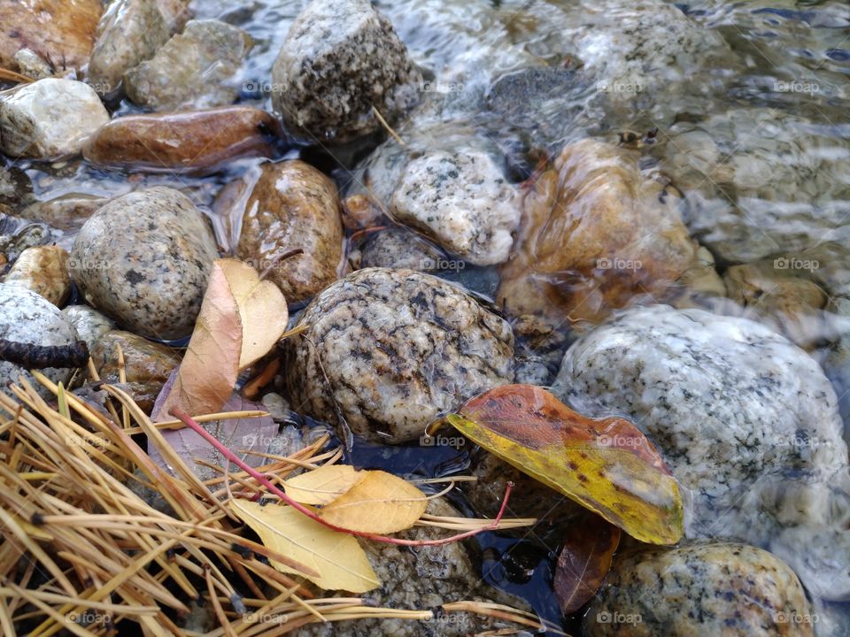 Stones and yellow leaves. River.