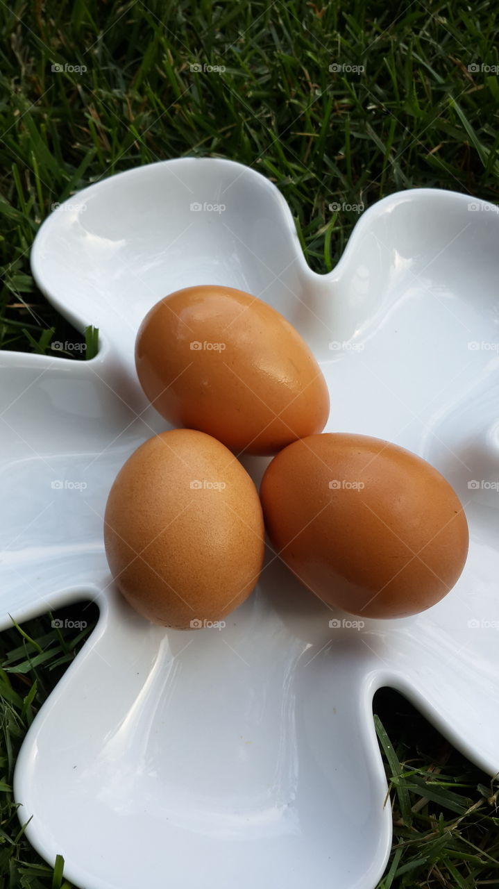 Brown eggs