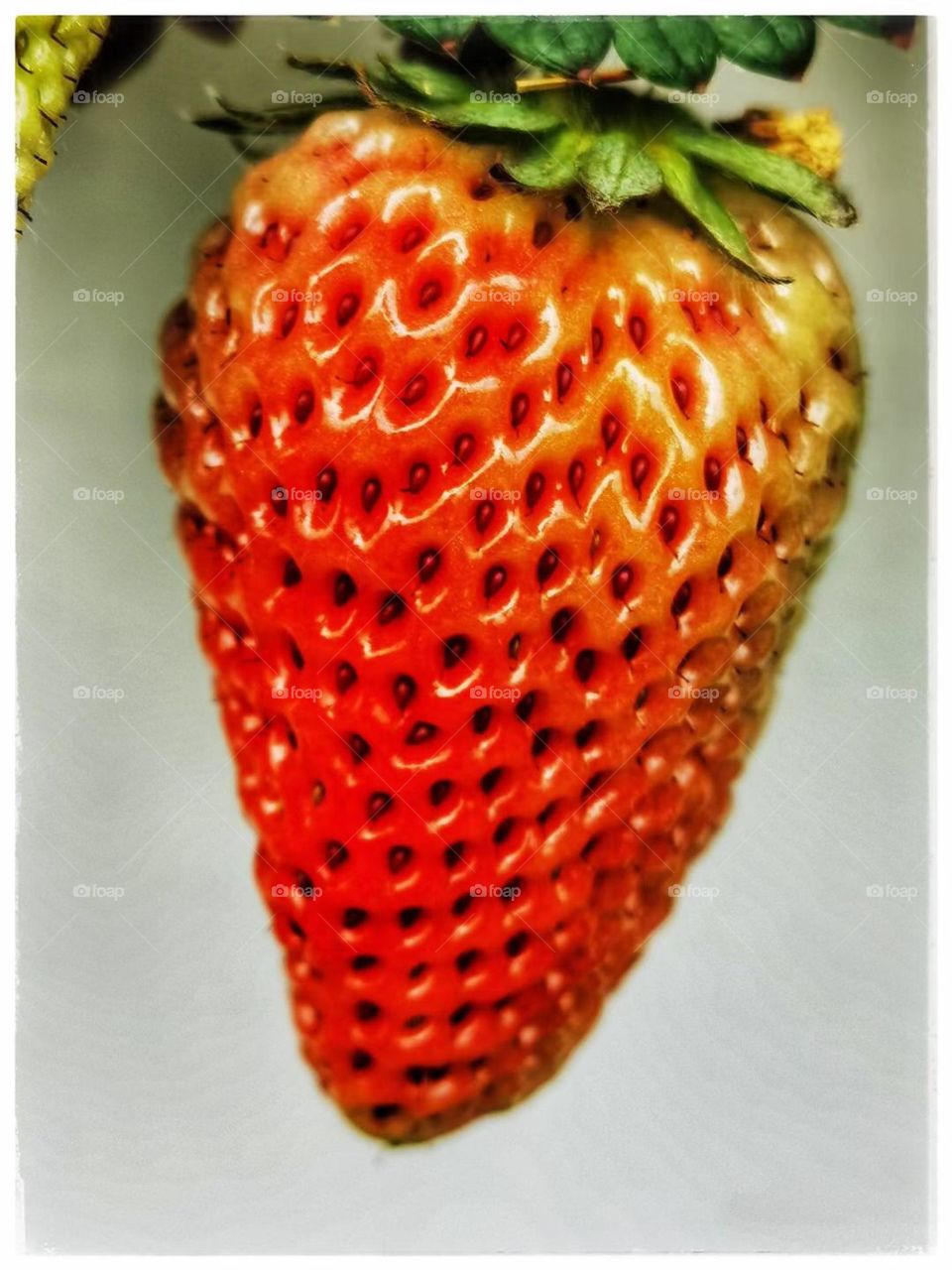 The Power and Color of Life. strawberry 