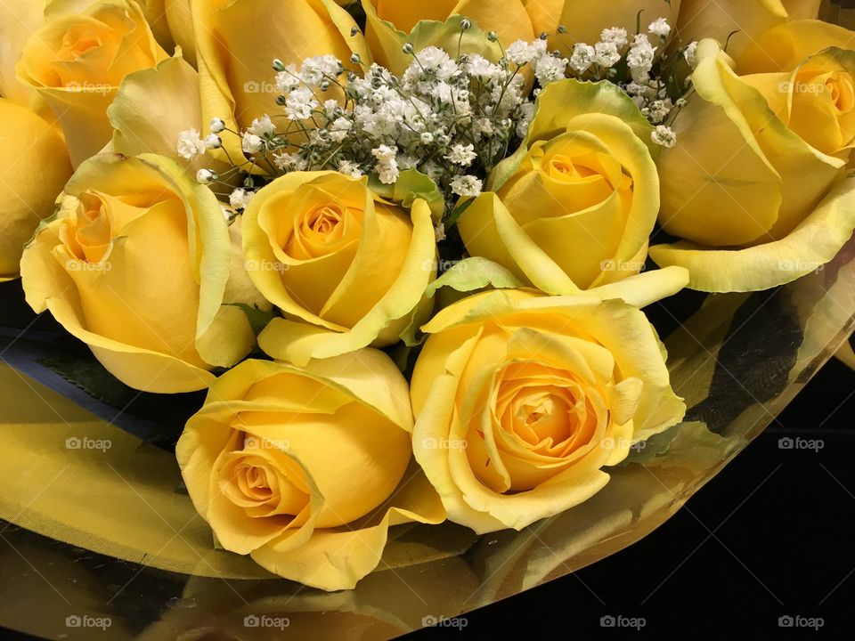 Yellow roses 