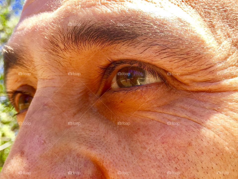 Close Up of Man's Eyes Brows and Nose Angled Profile