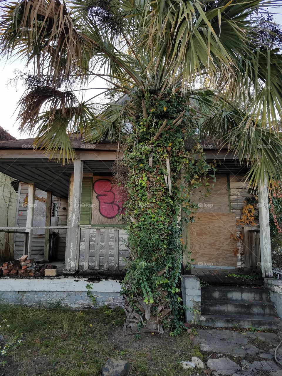 Old rundown abandoned house