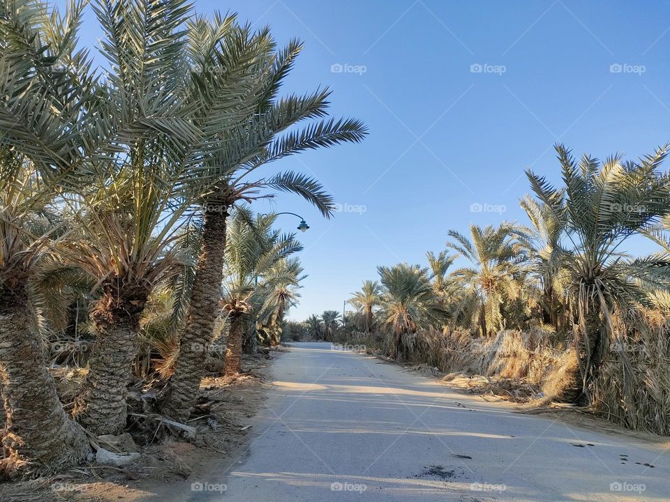 Siwa roads