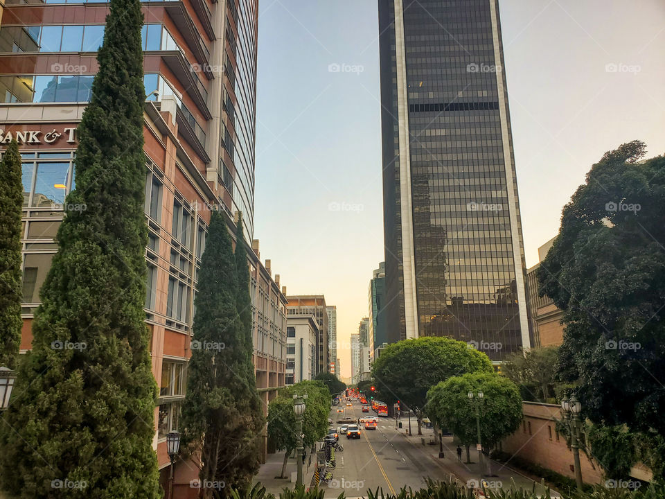 Dtla Wilshire