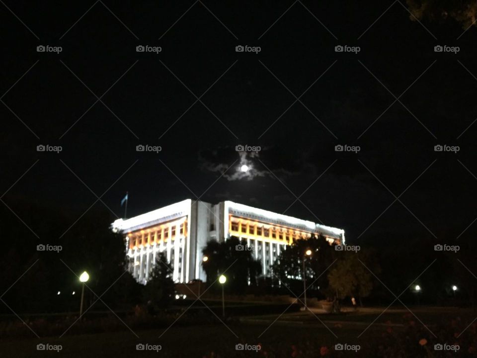 Governmental building 
