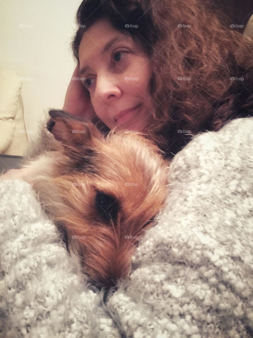 A young pet terrier dog is warmly embraced in the evening. Both are content to snuggle.