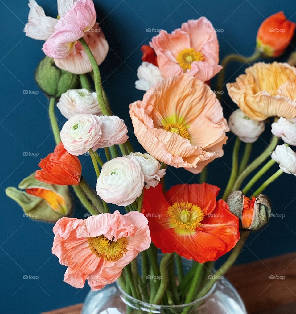 Colorful spring flowers 