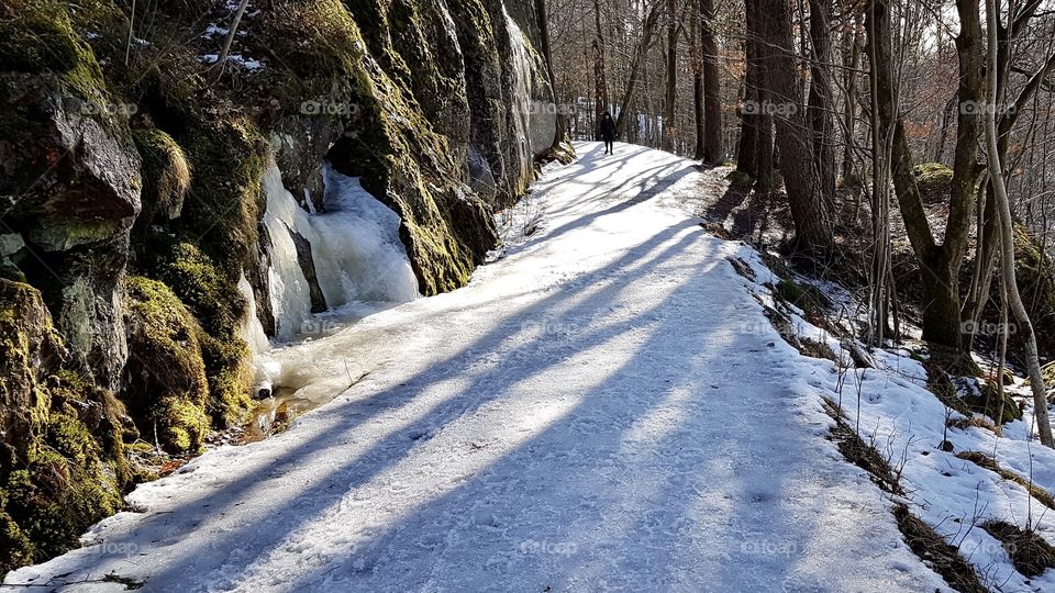 Ice on the road in the forest  - isig väg i skogen på våren 