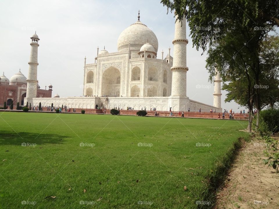 The Tajmahal